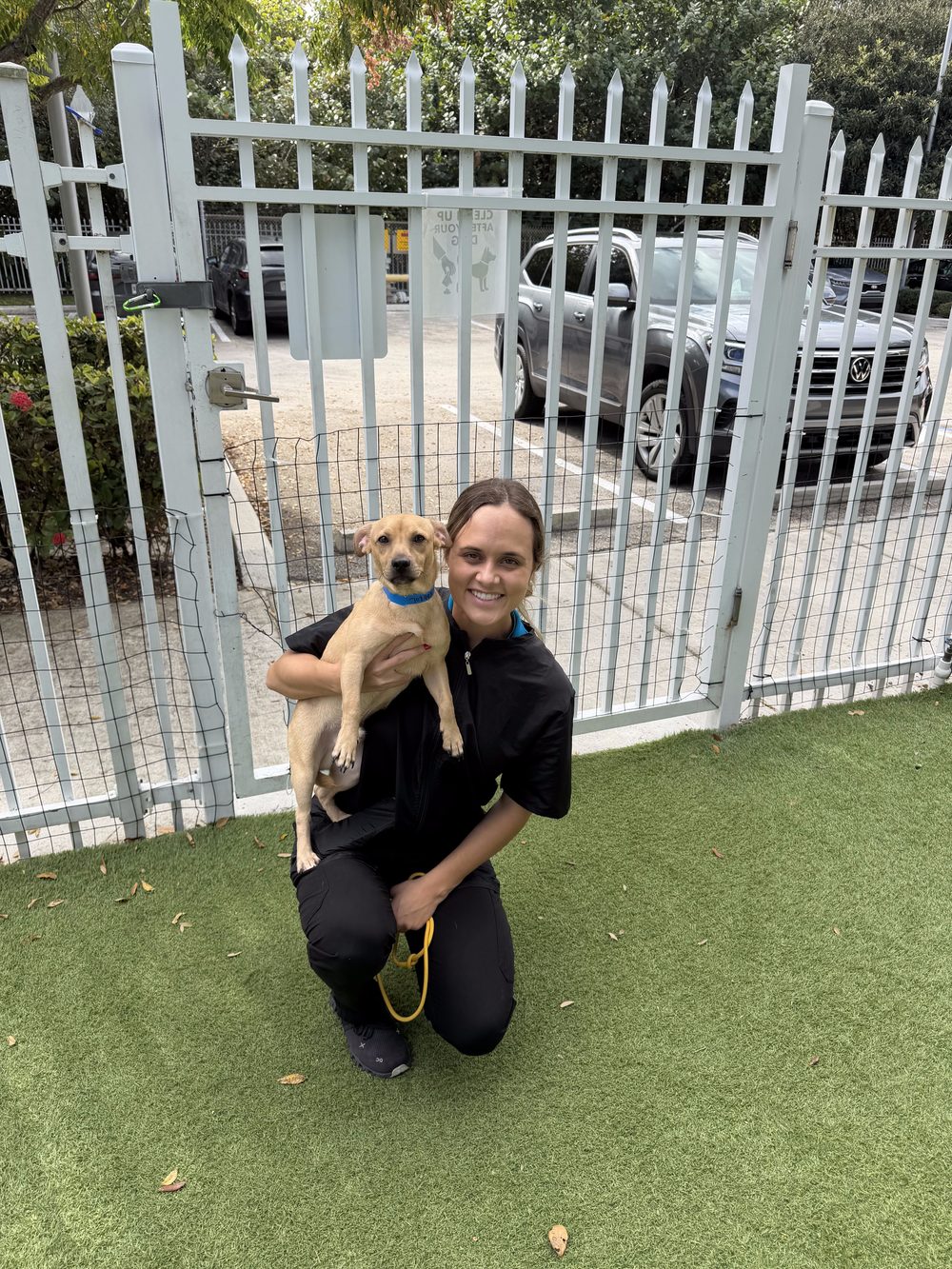 La Dra. Shantall con un perro rescatado en la Humane Society of Broward County